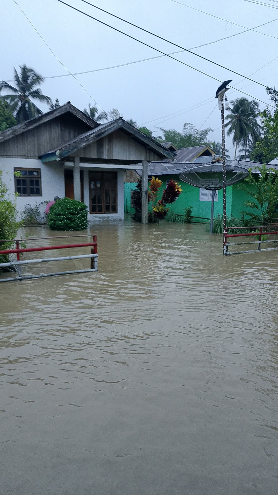 Banjir Rendam Desa Tungoi Bersatu, Warga Cemas Air Sungai Terus Naik